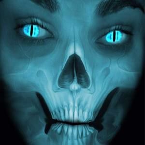 Meet your Posher, Rose